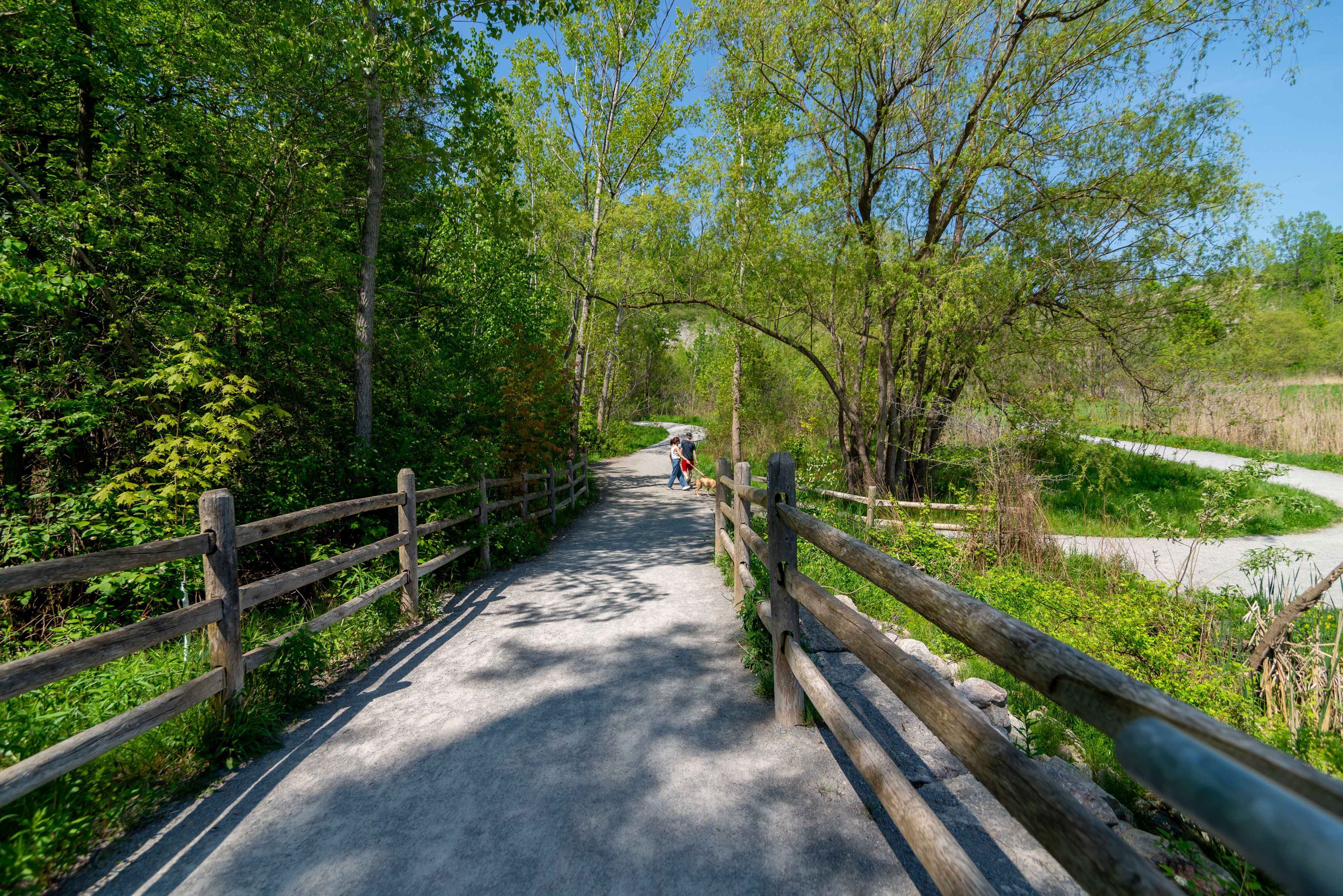 Loop Trail